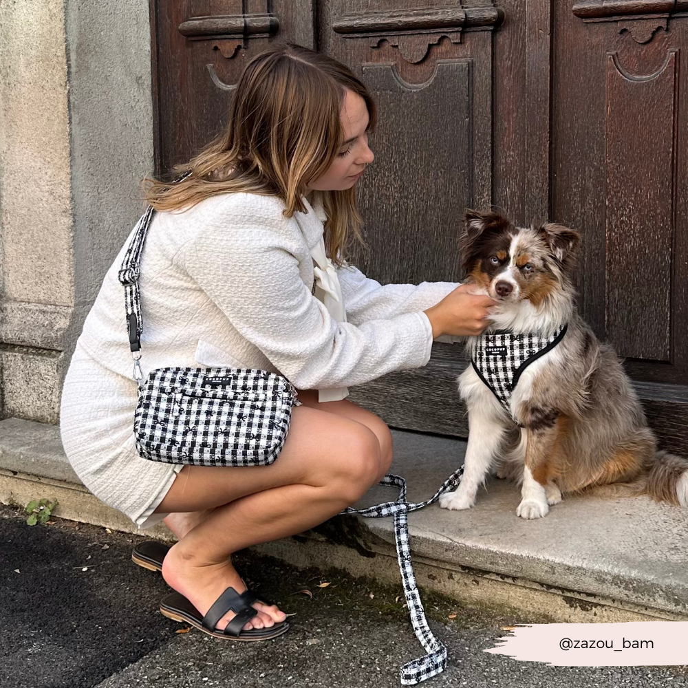 Cocopup London – wholesale Pet harness – Dog – Pup in Paris Adjustable Neck HARNESS8