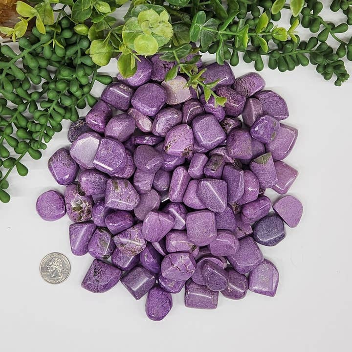 Meraki Gemstones - Wholesale Spiritual Stone/Crystal - Stichtite Tumbled Gemstones (22-30MM)2