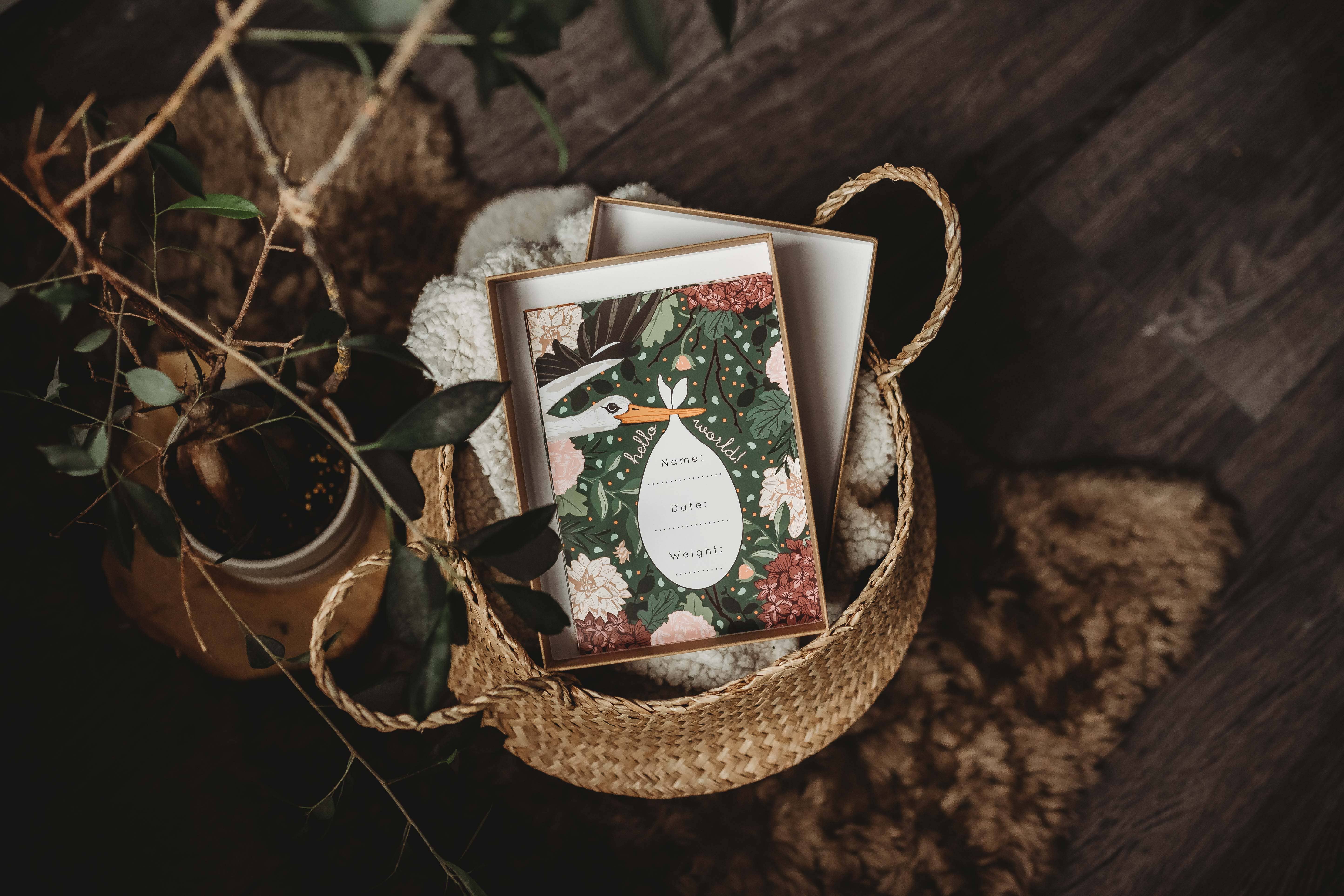 Wildwood Paper – wholesale Milestone art/keepsake – Child & baby – Botanical Baby Milestone Card Luxury Eco Conscious Gift Set3