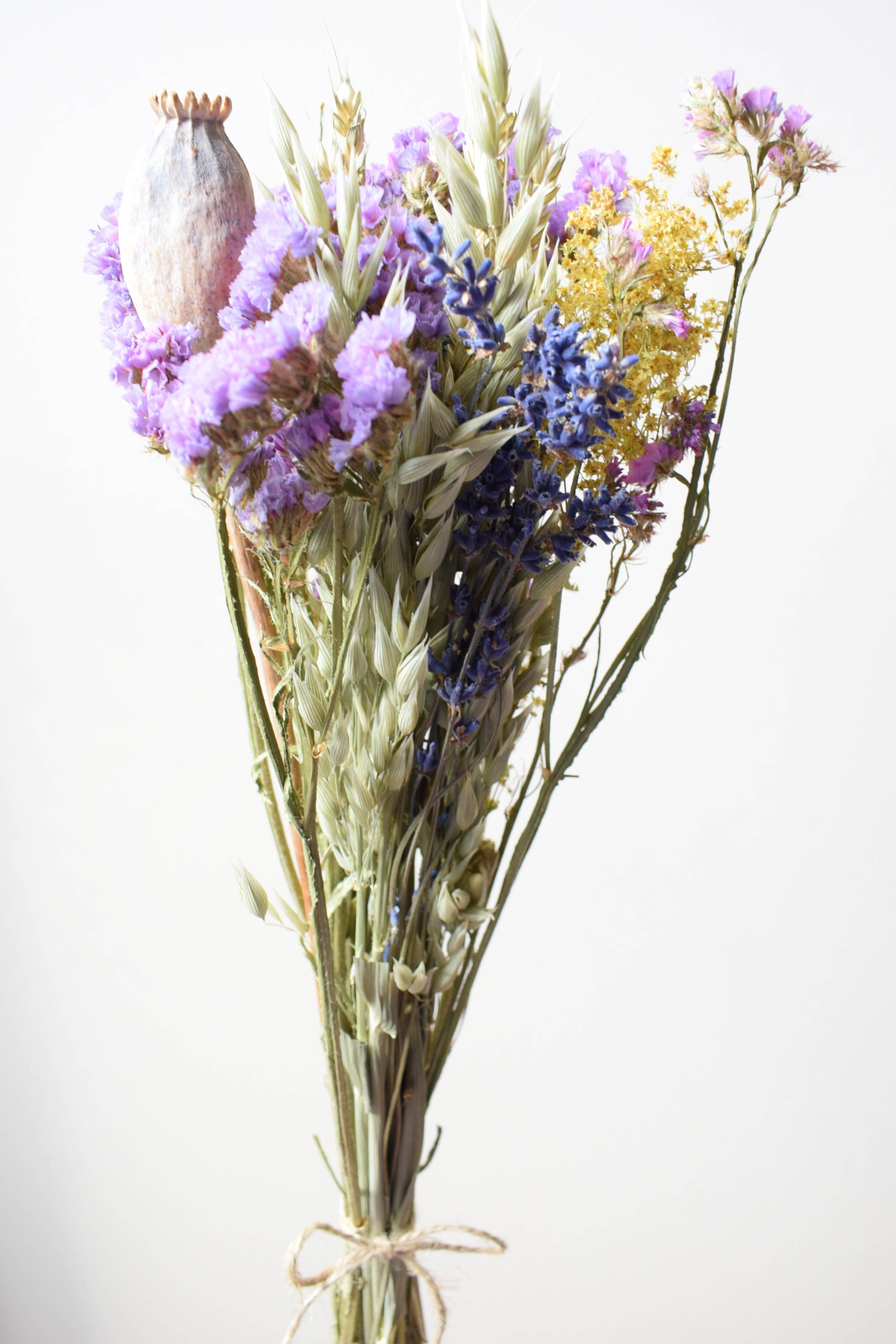 Daisy Gifts Ltd – wholesale Dried/pressed flowers – Small UK Dried Flower Bouquet Mixed Lilac Tied With Twine3