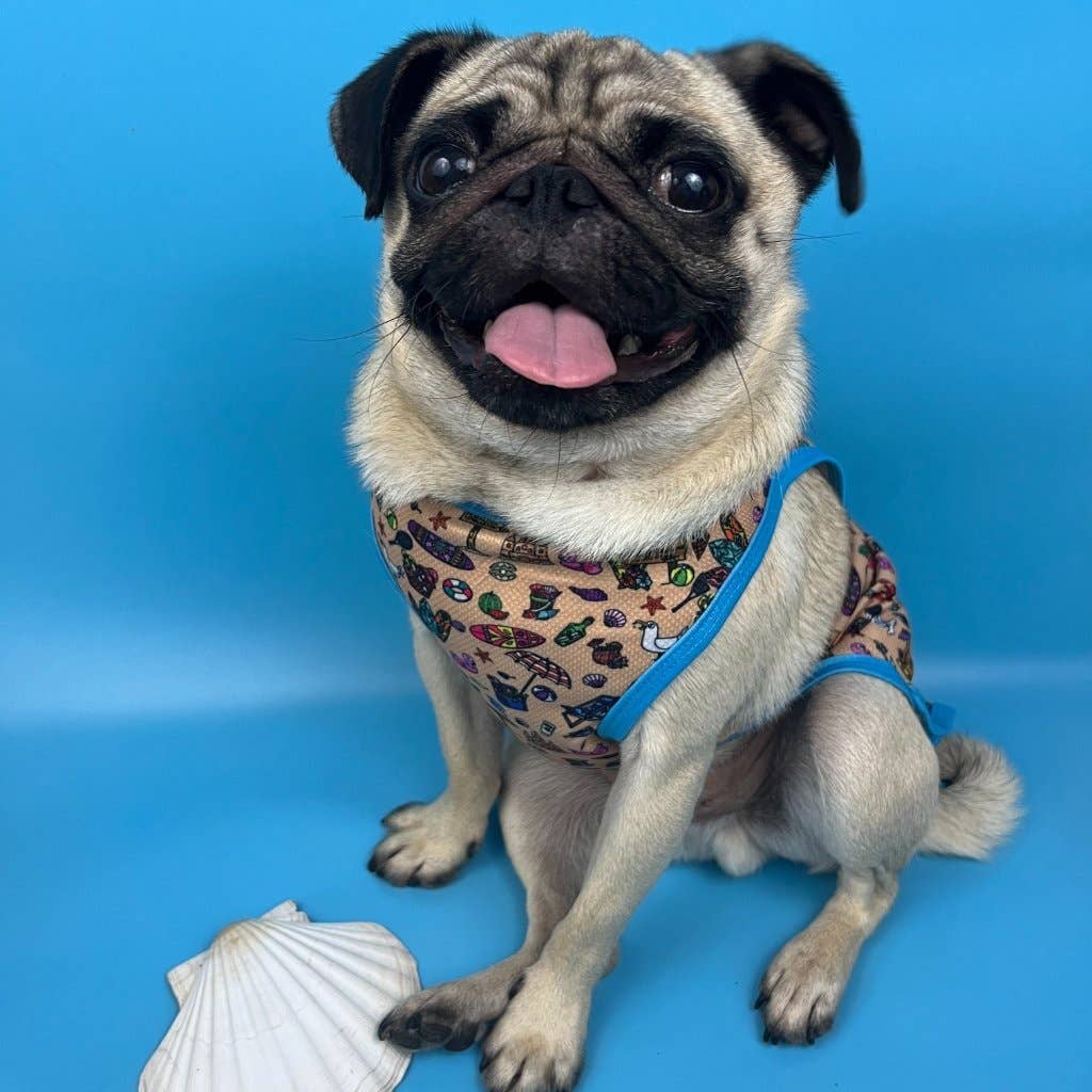 Mylo and Mas Boutique - Wholesale Pet Vest - Dog - Dog Cooling Vest - Sun of a Beach8