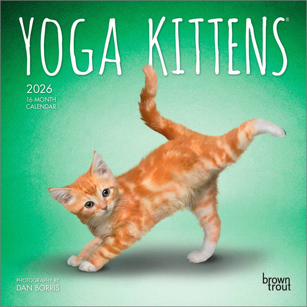 BrownTrout Publishers - Wholesale Calendar - Yoga Kittens OFFICIAL 2026 Monthly Mini Wall Calendar  0