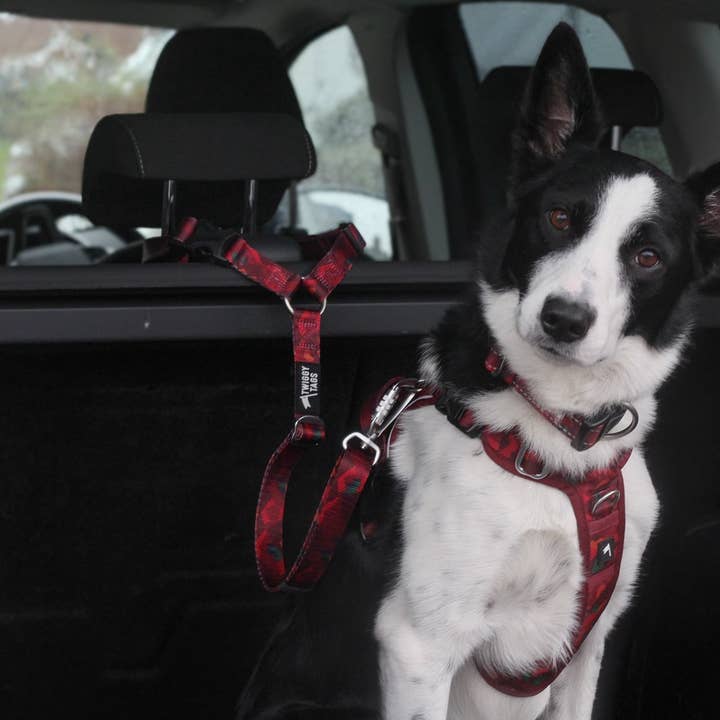 Twiggy Tags - Venta al por mayor Arnés - Perros - Cinturón de Seguridad para Reposacabezas de Perro Aventurero - Alpenglow