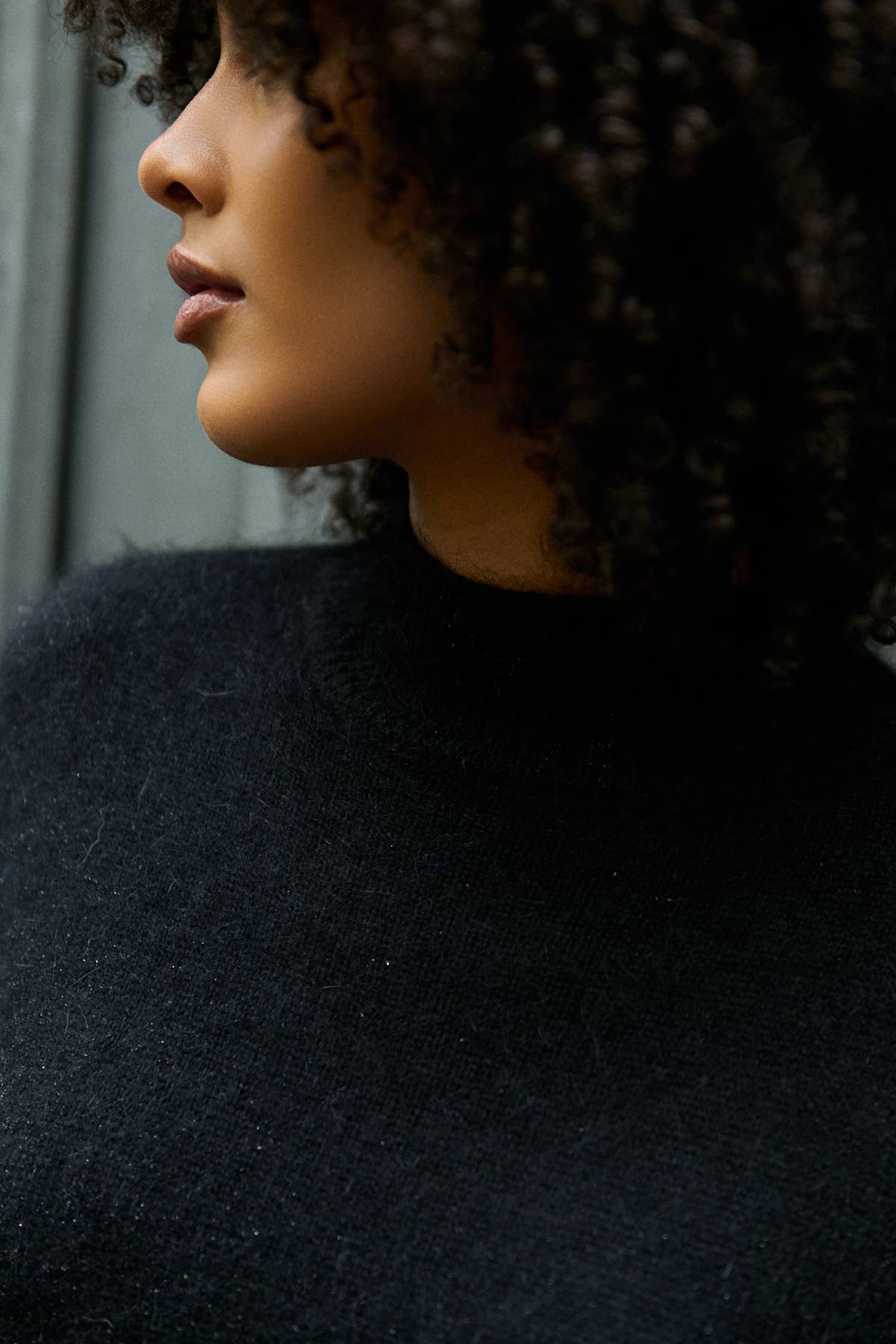 Nathael Paris – wholesale Pullovertröja - Dam – Angorapolo med hög krage17