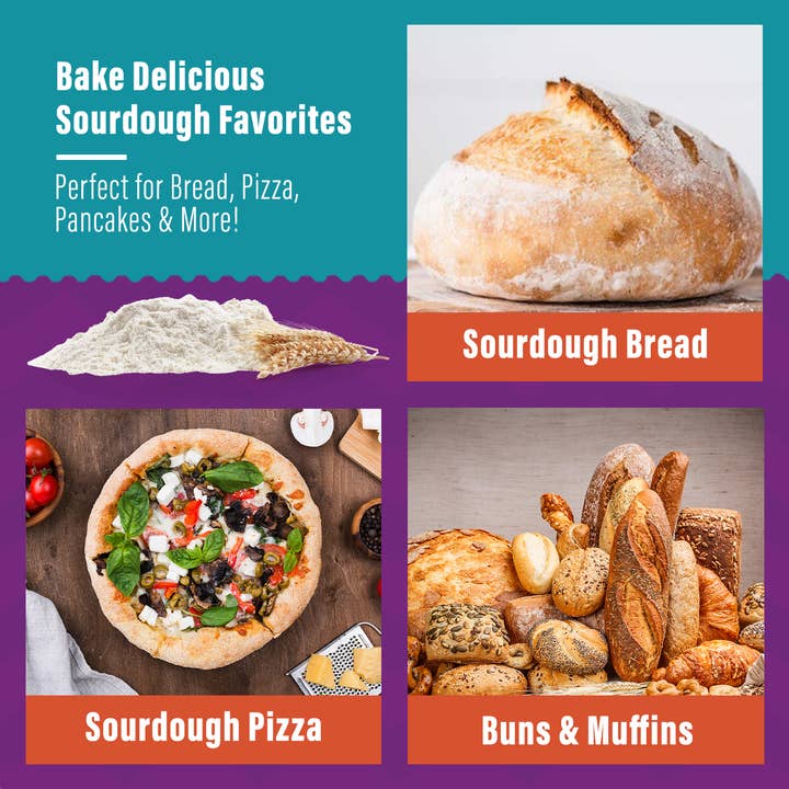 My Rustic Roots - Vente Mélange pour pain - Levain bio sans OGM | Lyophilisé | 12 g4