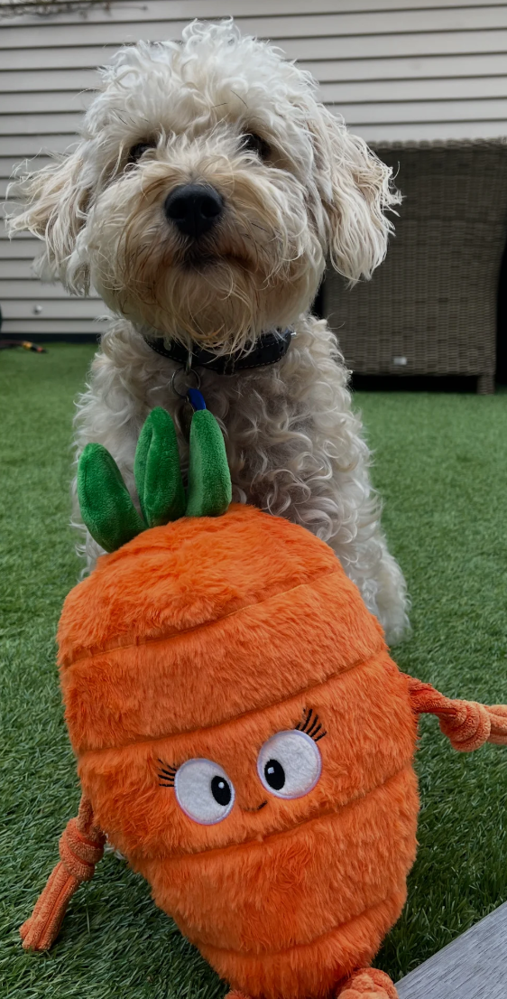 Pals For Paws - Wholesale Pet Plush Toy - Dog - Pals for paws™Carrot Plush Dog Toy-100% recycled Materail2