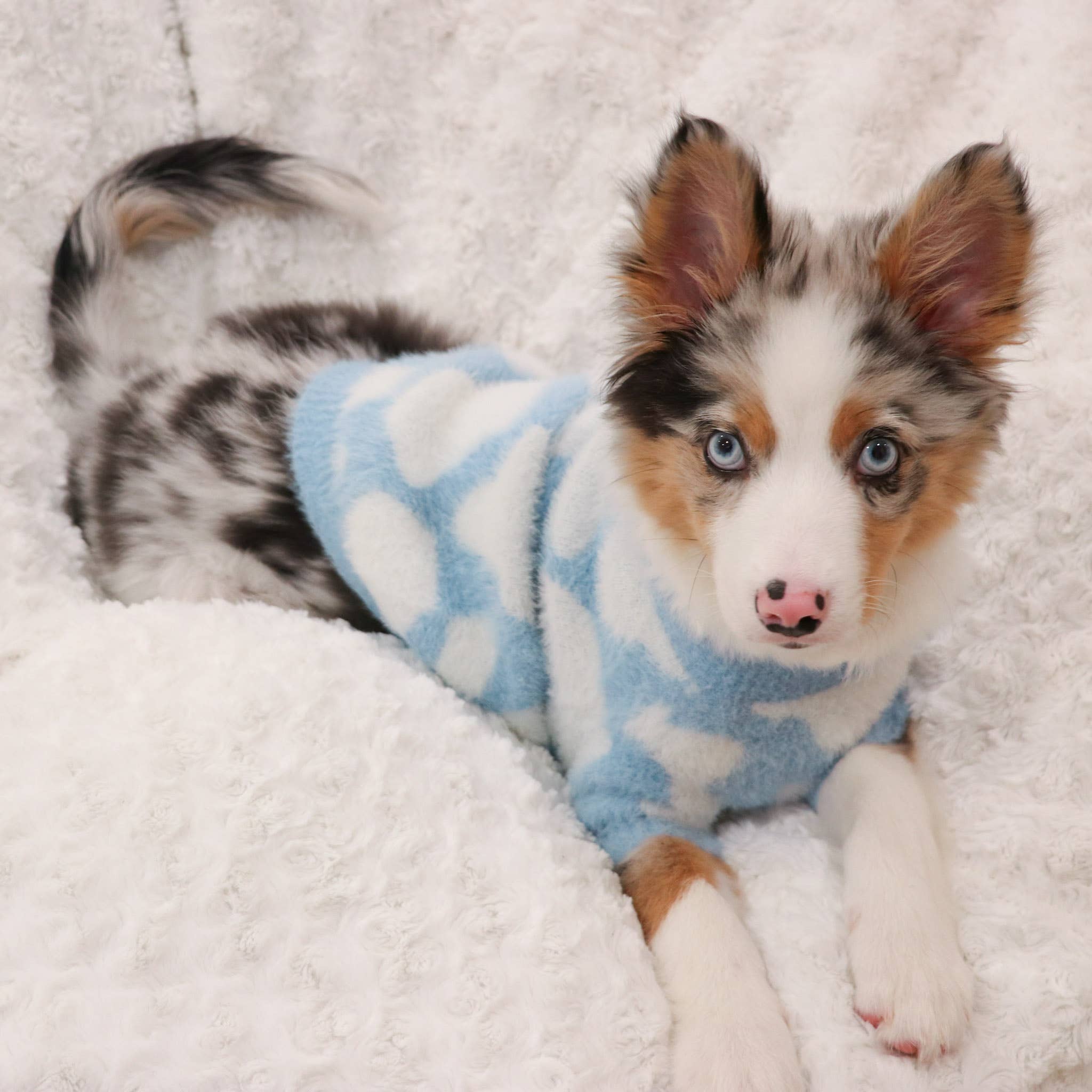 Pups & Bubs - Wholesale Pet Sweater - Dog - Cloud Soft Cloud Sweater | Pet Sweater for Dogs & Cats1
