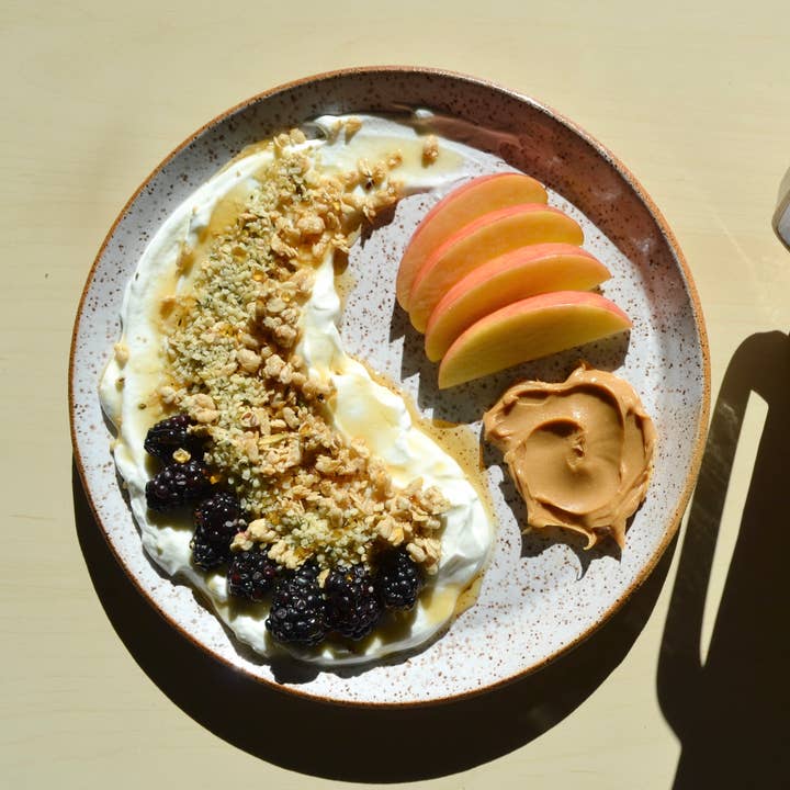 Ceramic Dinner Plate 9.5 Inch for wholesale by Premadasa