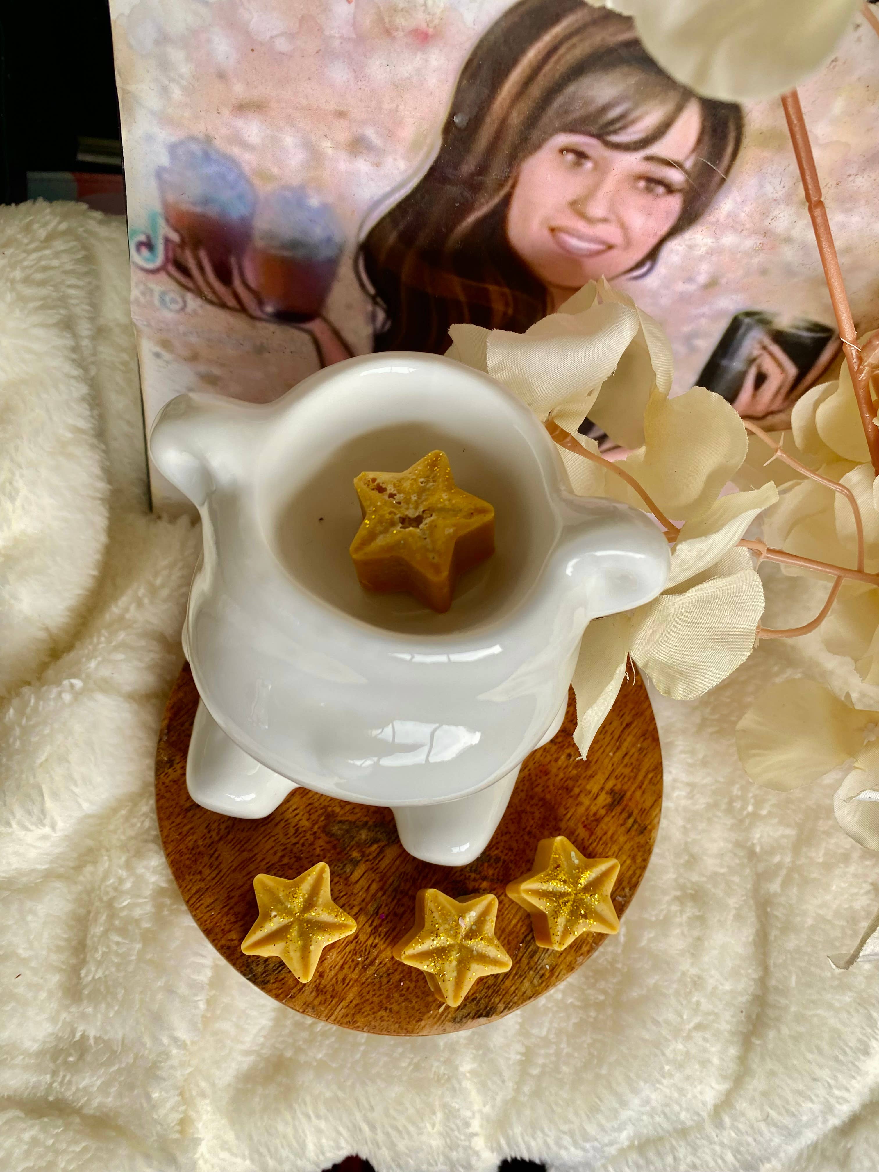 Les folies de Nicole - Wholesale Wax Melt - 🌟Gourmet Shooting Stars2