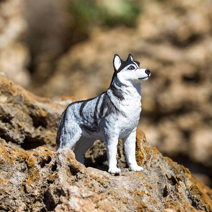Safari Ltd. - Wholesale Decorative Figurine - Siberian Husky - 2552296