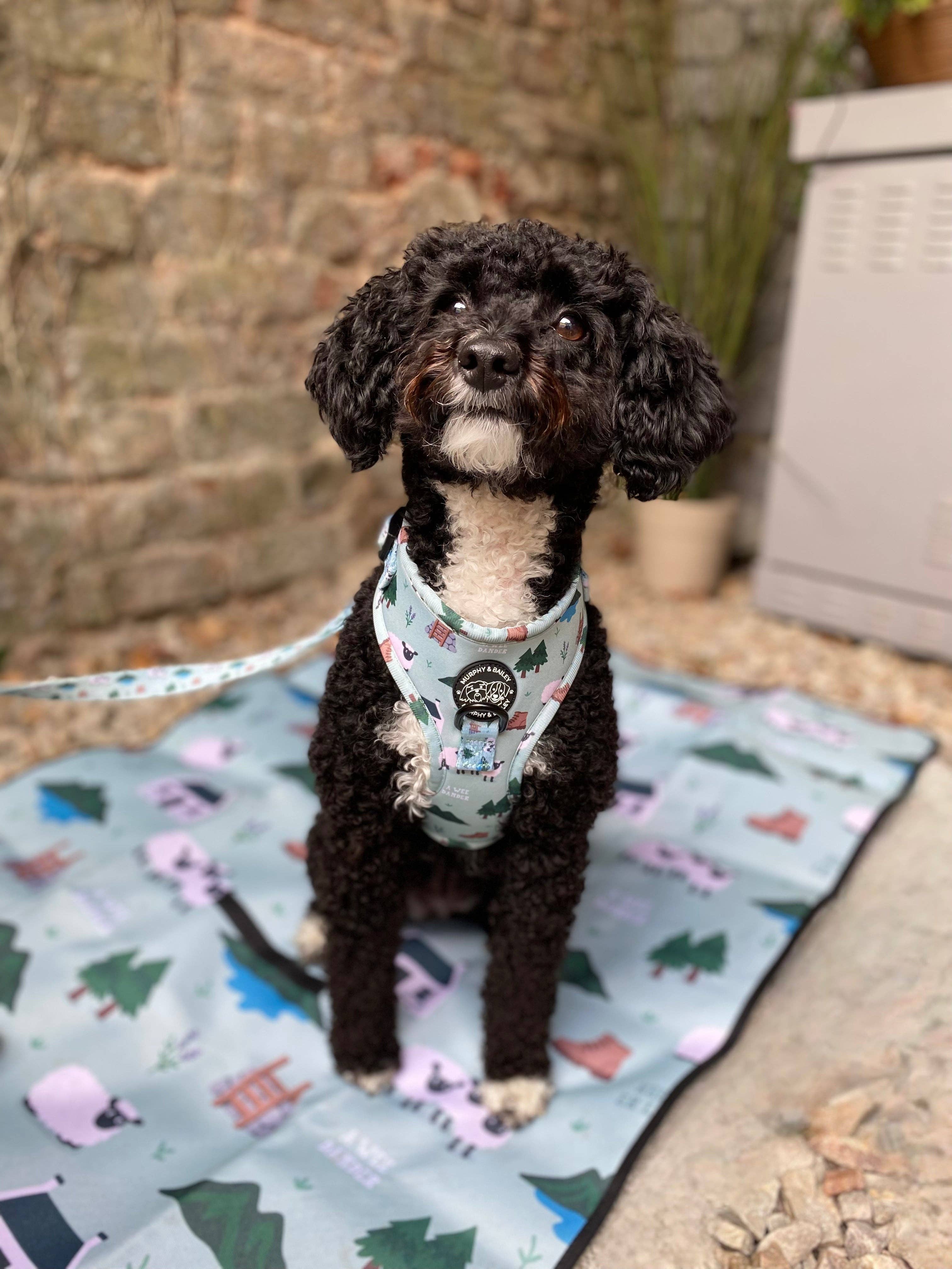 Murphy and Bailey - Vendita all'ingrosso Pettorina - Cani - Pettorina Regolabile Murphy & Bailey - Woolly Danders1