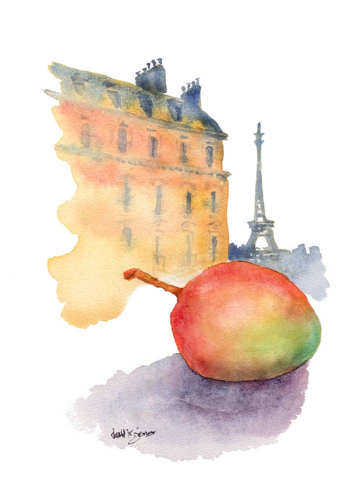 "Mango in Paris" (watercolor art print) for wholesale by davidkjonesart