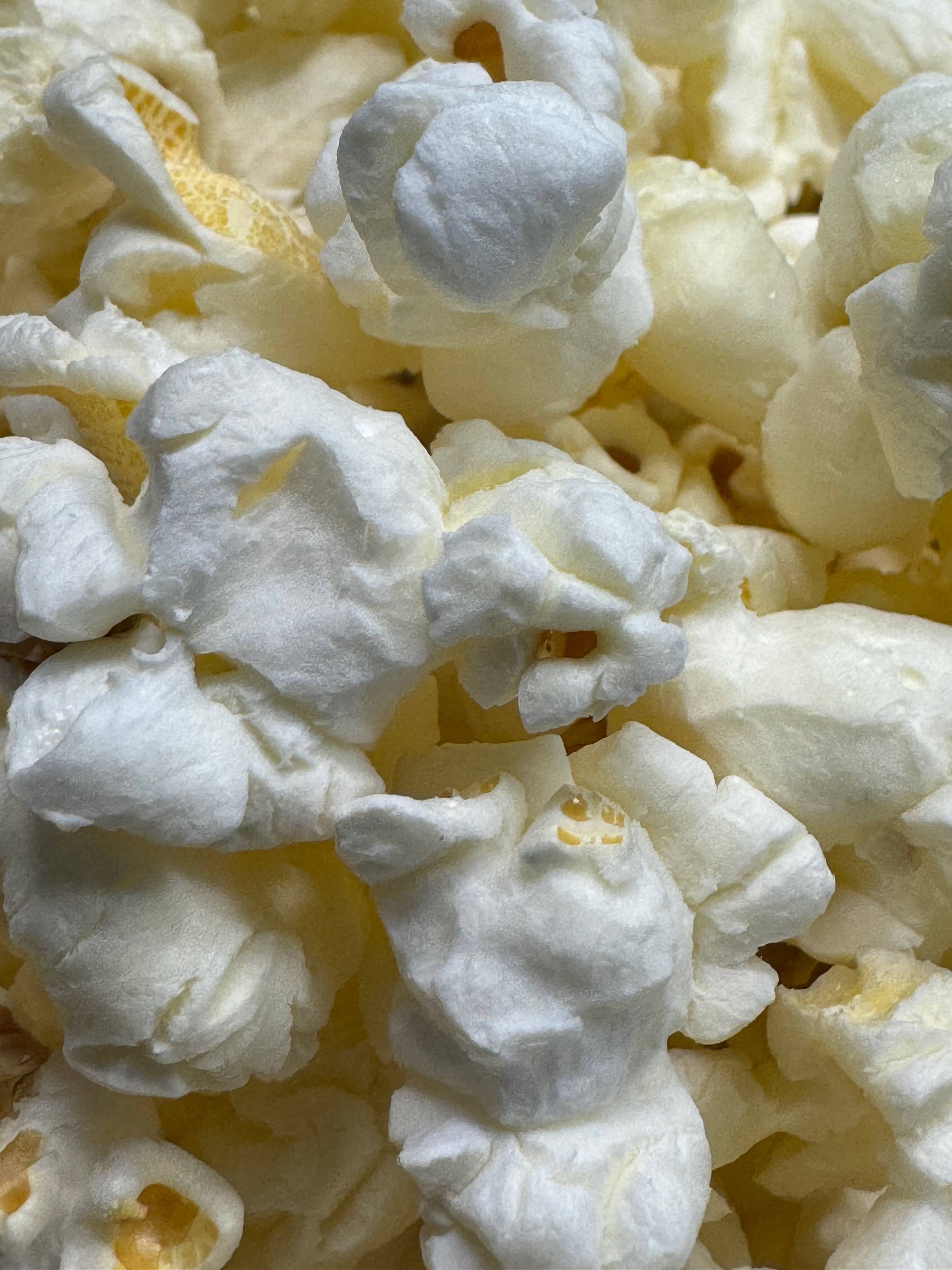 POPPED Artisan Popcorn - Wholesale Popcorn - Organic Sea Salt Popcorn2