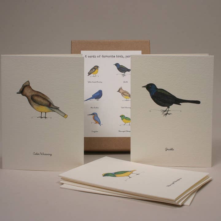 Birds, Greeting Cards Set 3. for wholesale by Beth Mueller
