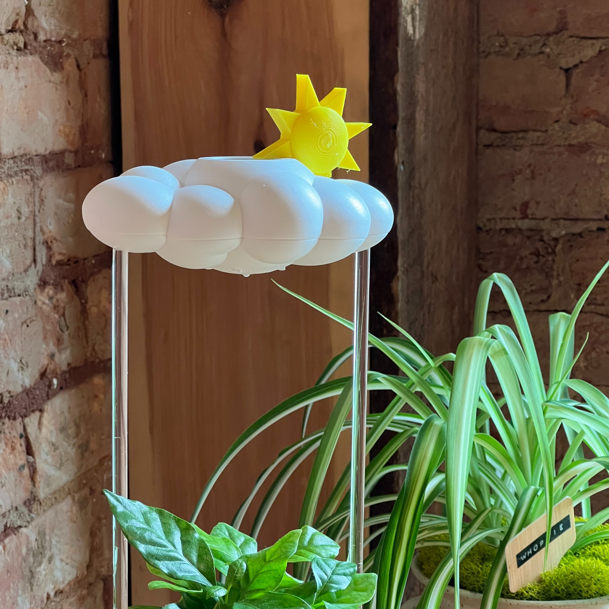 The Cloud Makers - Wholesale Plant Pot - Sun Charm for Dripping Rain Clouds3