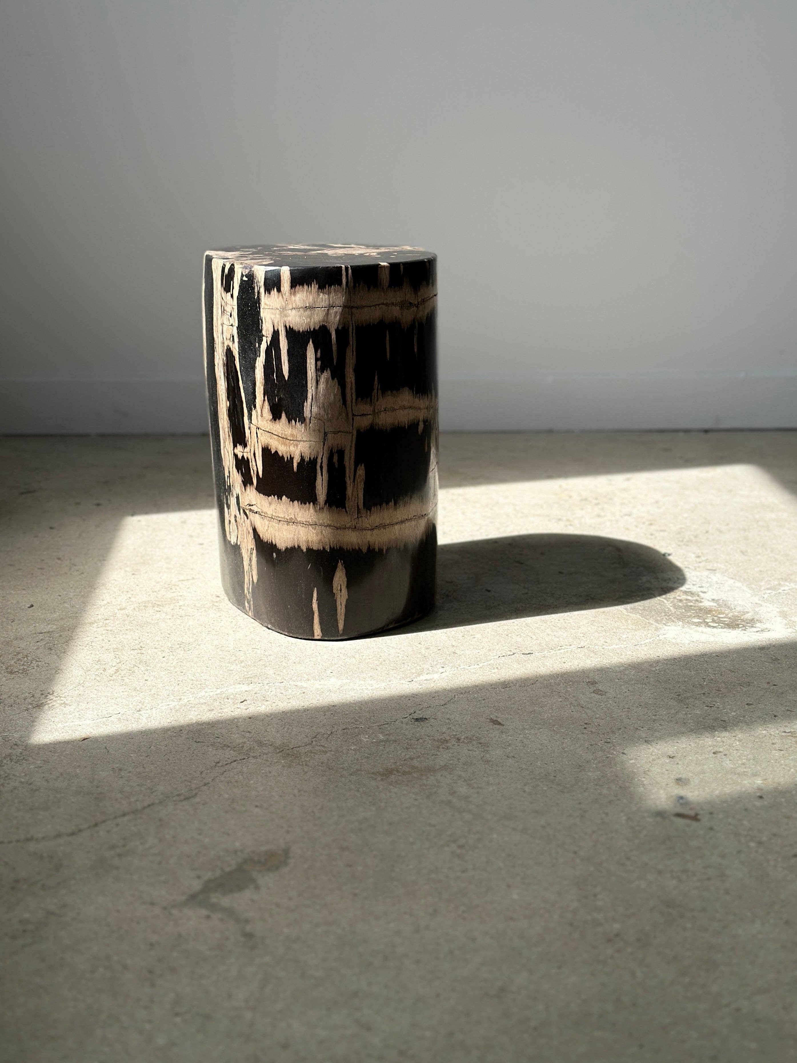 Office Objets - Vente Tables d'appoint - Table d'appoint en bois pétrifié20