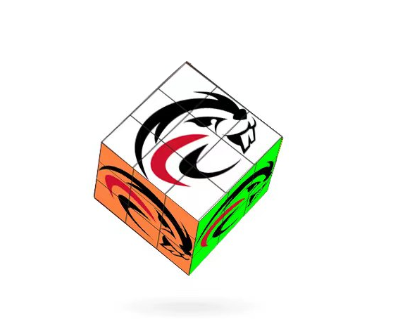 Sunkiss - Wholesale Puzzle - Adult - Custom Designed Swizzle Cube (Medium)3