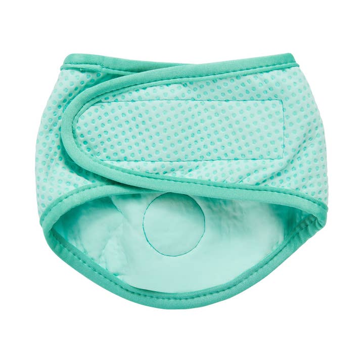 GF Pet - Wholesale Pet Bandana - Dog - ICE BAND - Dog Cooling Bandana - Aqua2