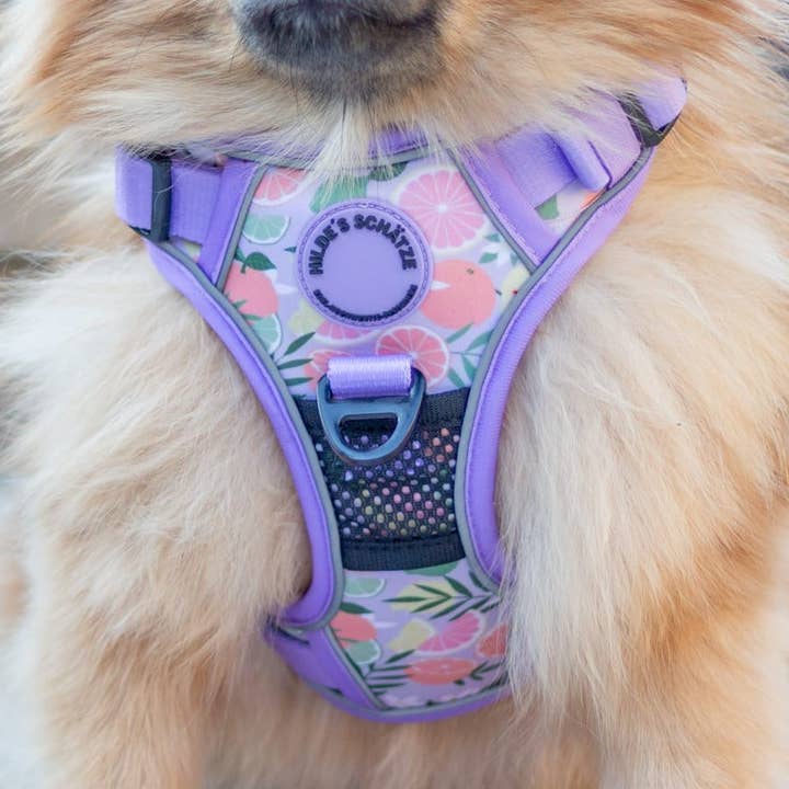 Pettorina multifunzionale per cani Sweet Escape per la vendita all'ingrosso da parte di Hilde´s Schätze