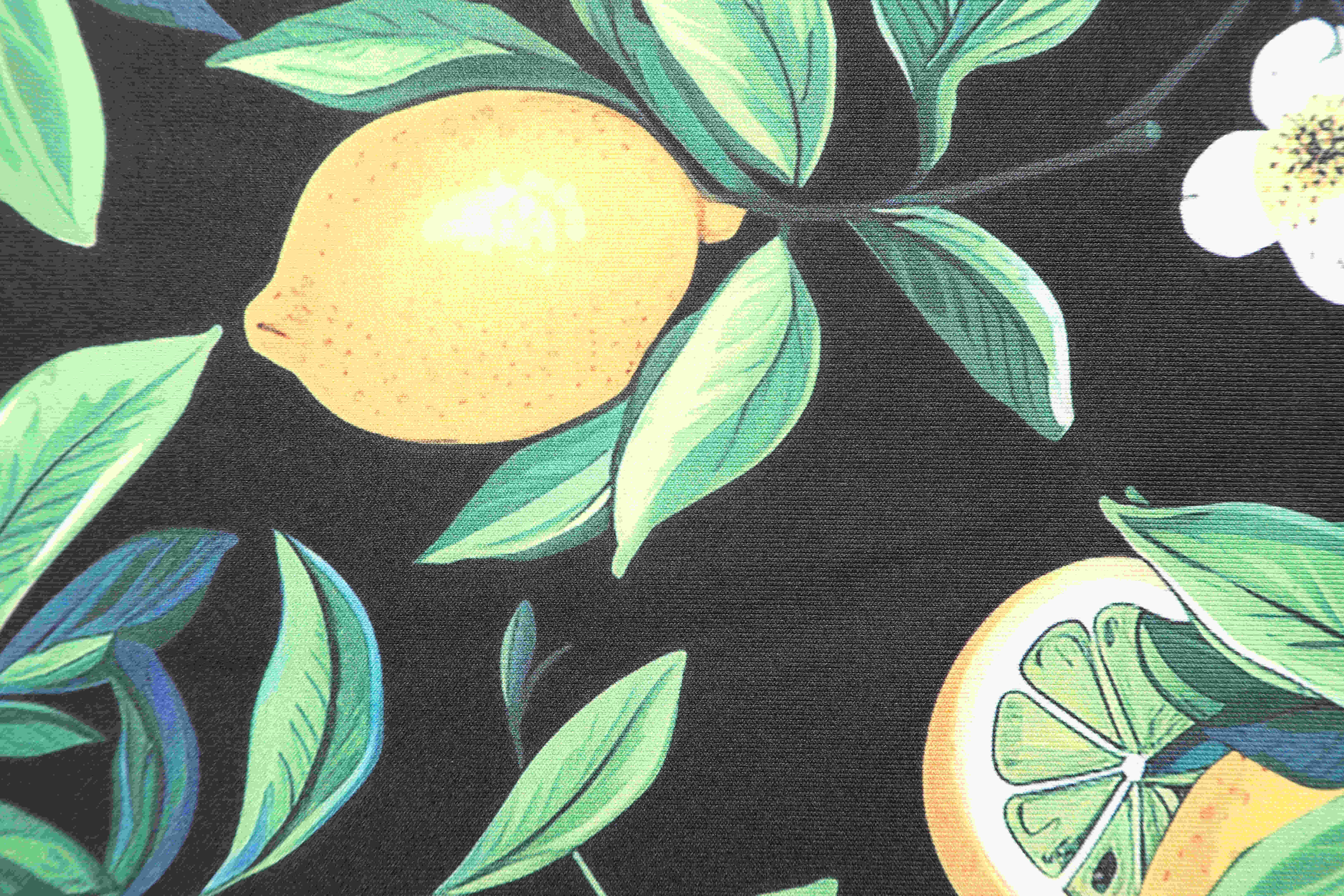 Dolly & Dotty - Wholesale Dress - Women's - Monroe Off-the-Shoulder Pencil Dress in Black Lemon Print19