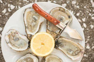 Charleston Shucker Company - Wholesale Kitchen/Utility Knife - SALE: The Carolina Shucker4