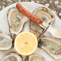 Charleston Shucker Company – Faca de cozinha/utilitário por atacado – PROMOÇÃO: O Carolina Shucker4