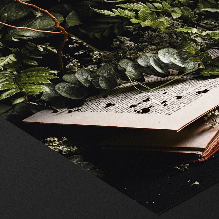 Alyssa Thorne - Wholesale Art Print - Hinterland Overgrowth | Art Print | Dark Bookish Forest 1