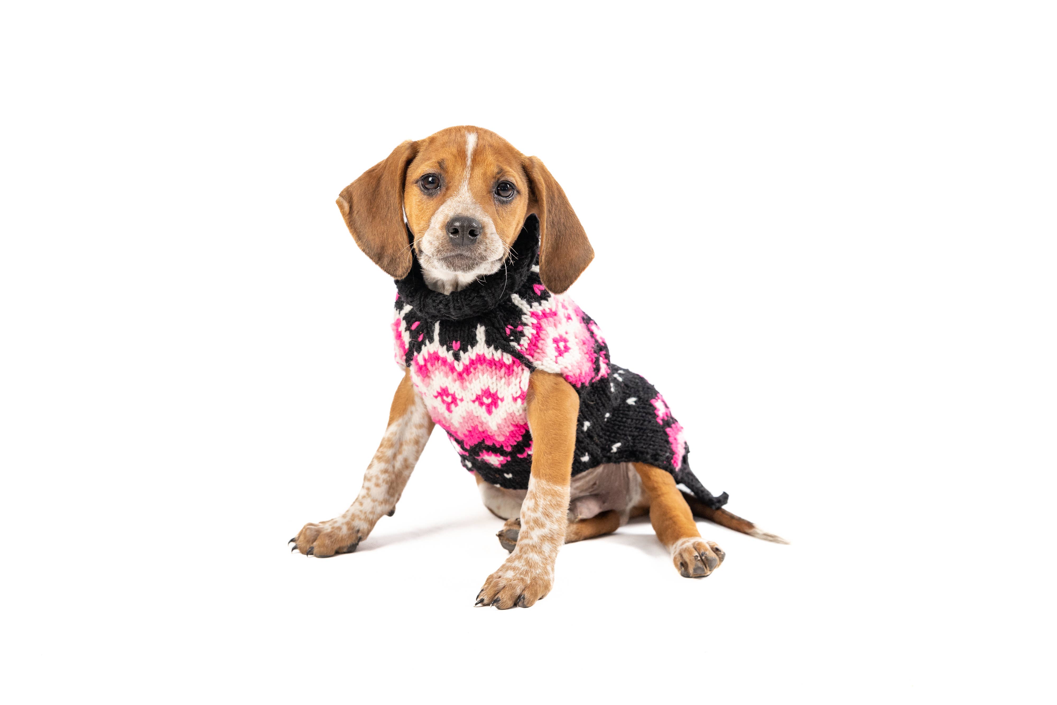 CHILLY DOG LLC – camisola - Cão por atacado – Camisola Artic Rosa2