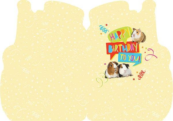 Paper House Productions - Wholesale Birthday Card - Guinea Pig Foil Card1