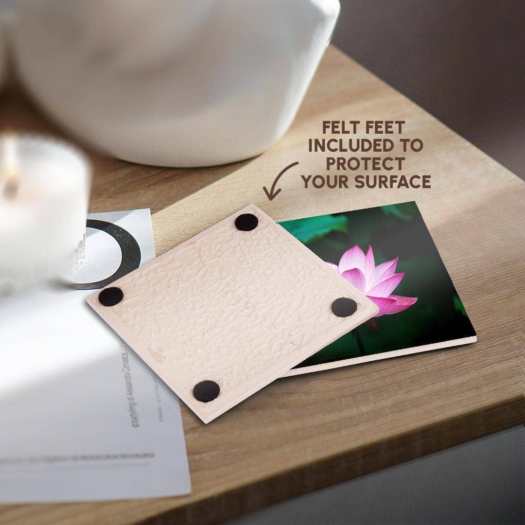 3dRose - Wholesale Coasters - 3dRose, Image of Pink Floating Water Lily, Coaster3