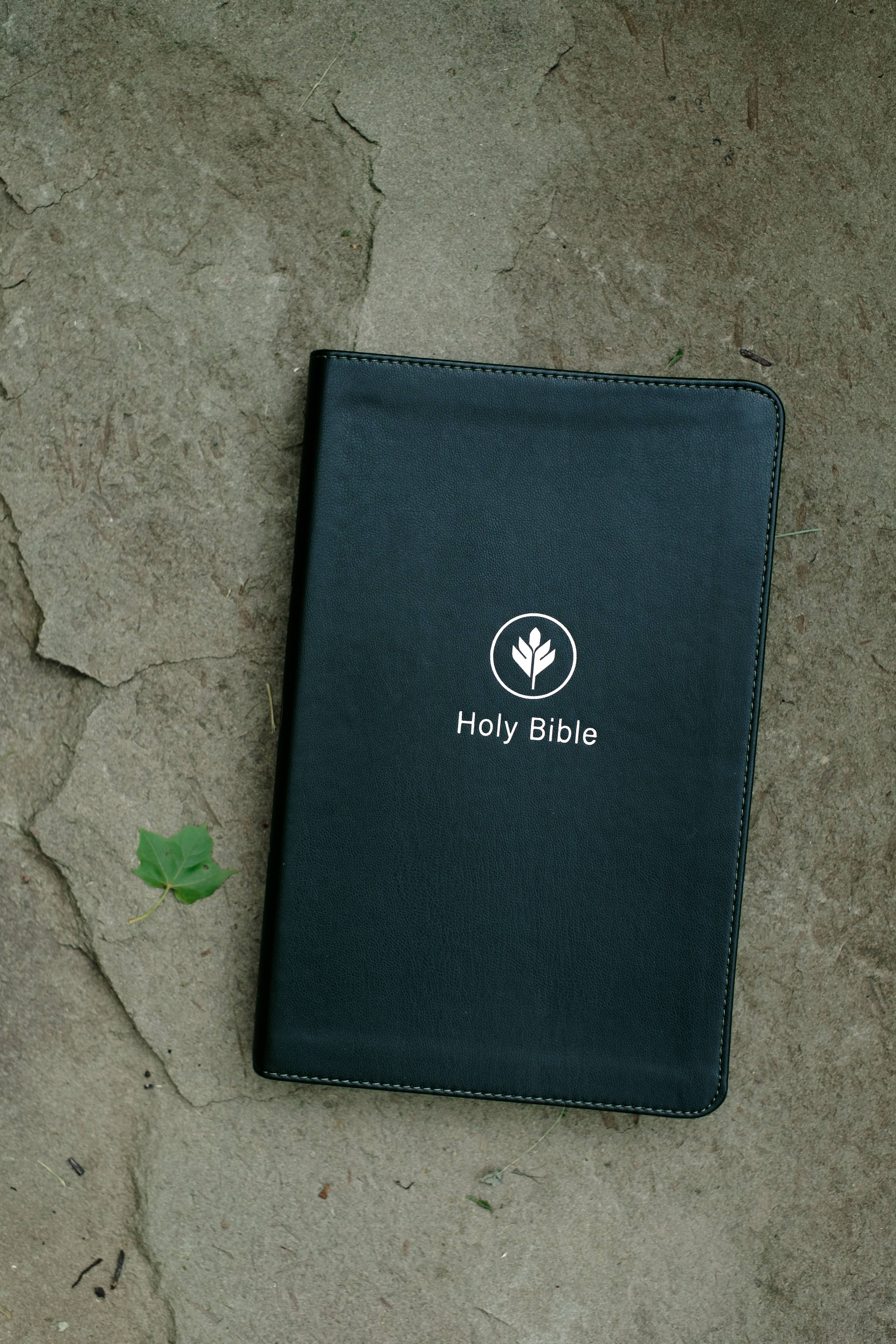 Barbour Publishing, Inc. - Wholesale Reference - The KJV Study Bible, Indexed (Evergreen Fog)1