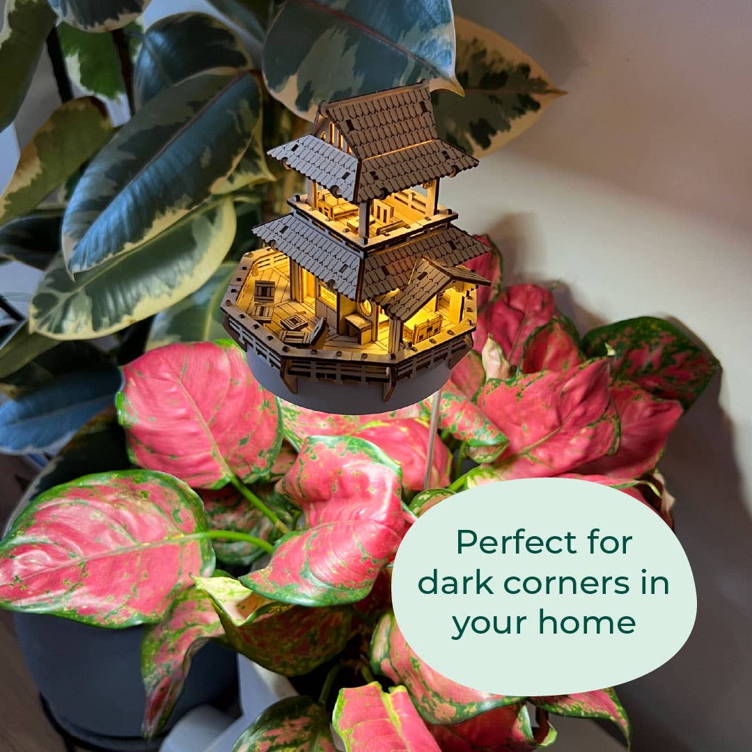 Tiny Treehouses Australia - Wholesale DIY craft kit - Sunrise Terrace + Grow Light3