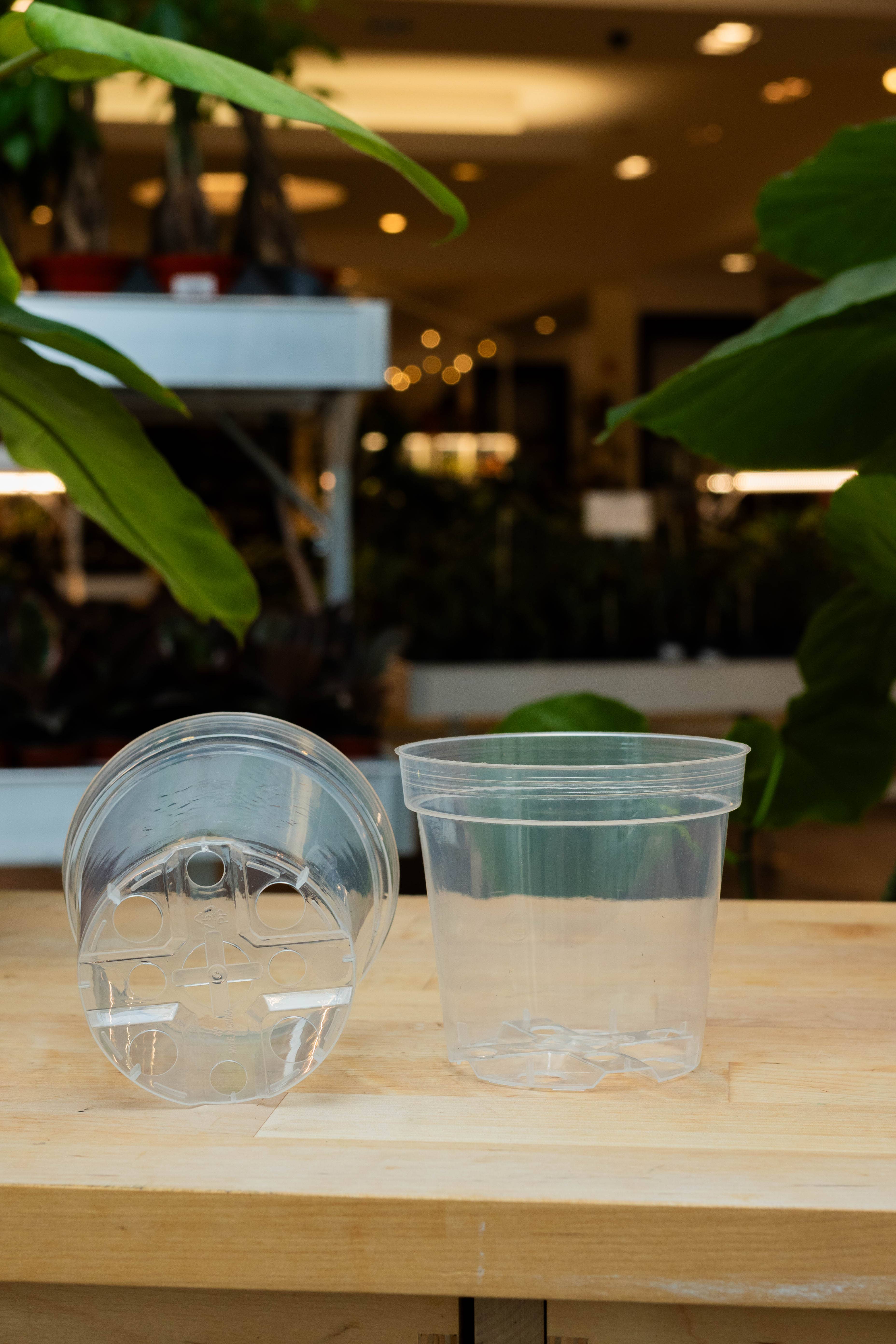 Lost in the Forrest - Wholesale Plant Pot - Clear Grower Pot1