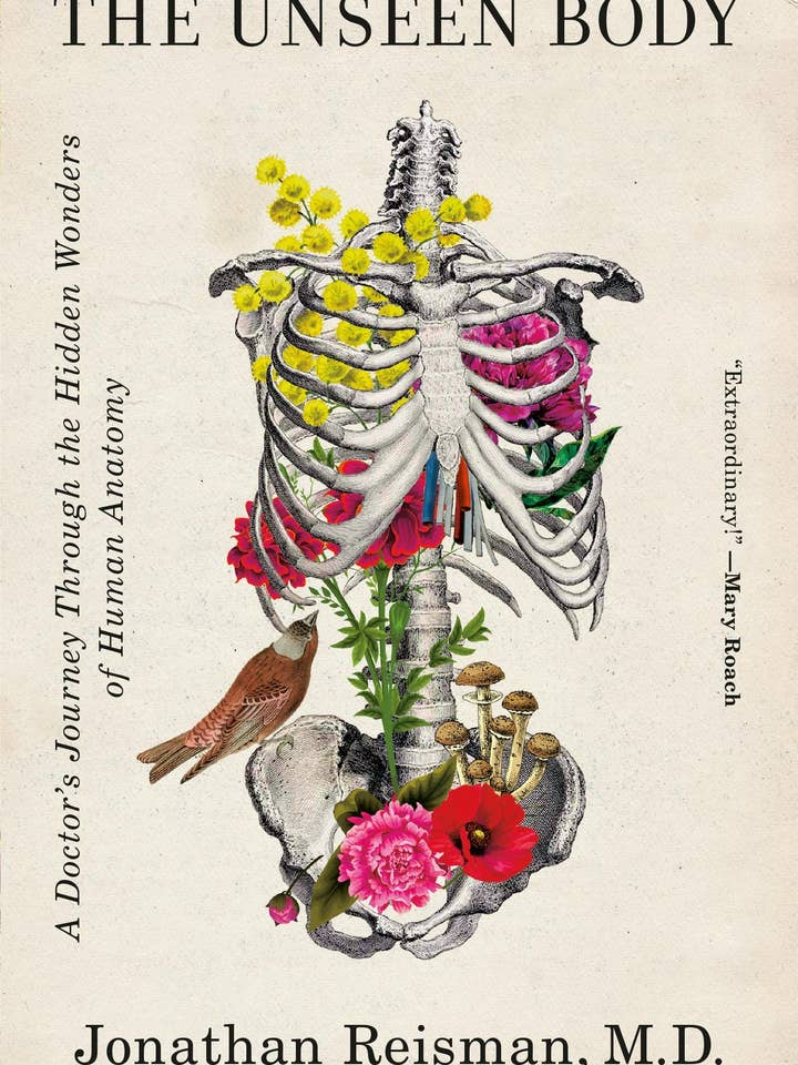 The Unseen Body: A Doctor's Journey In Human Anatomy #1 for wholesale by Macmillan Publishers