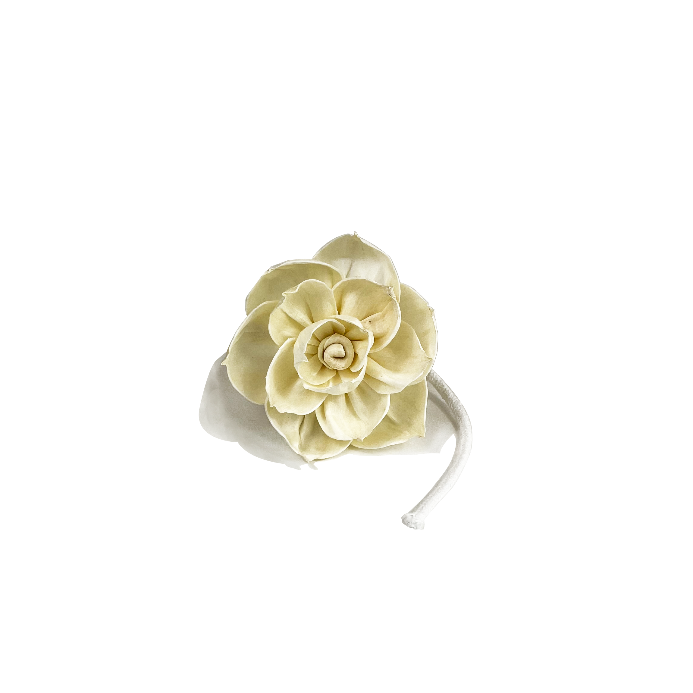 Heaven Scent Incense Ltd - Wholesale Reed Diffuser - 8cm Open Lotus Sola Diffuser Flower1