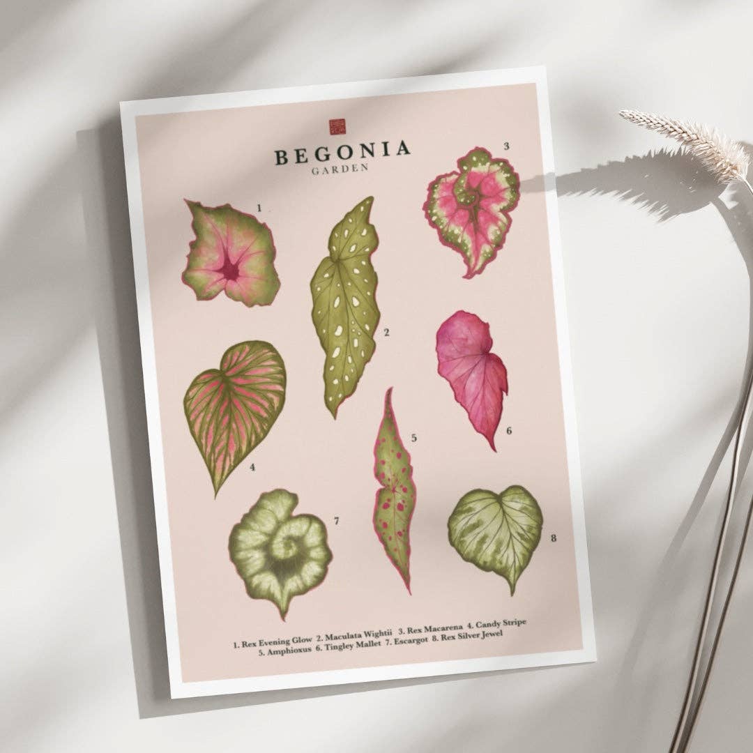 itsjunli - Vente Affiche d'art - Bégonia | Impression d'art0