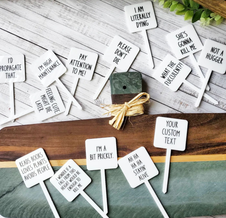 Mad River - Wholesale Garden/Lawn Stake - Snarky Plant Marker Stake - I'm No Cactus4