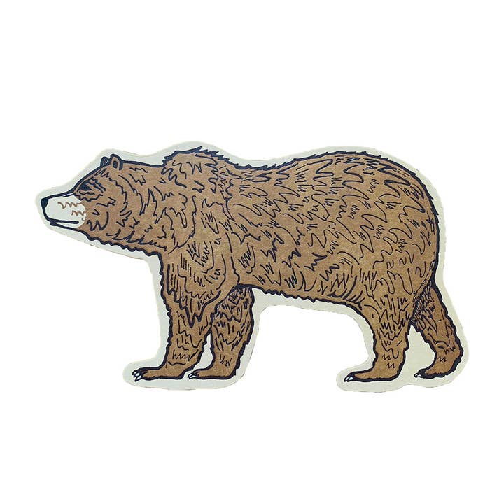 Grizzly Bear Postcard for wholesale by Noteworthy Paper & Press