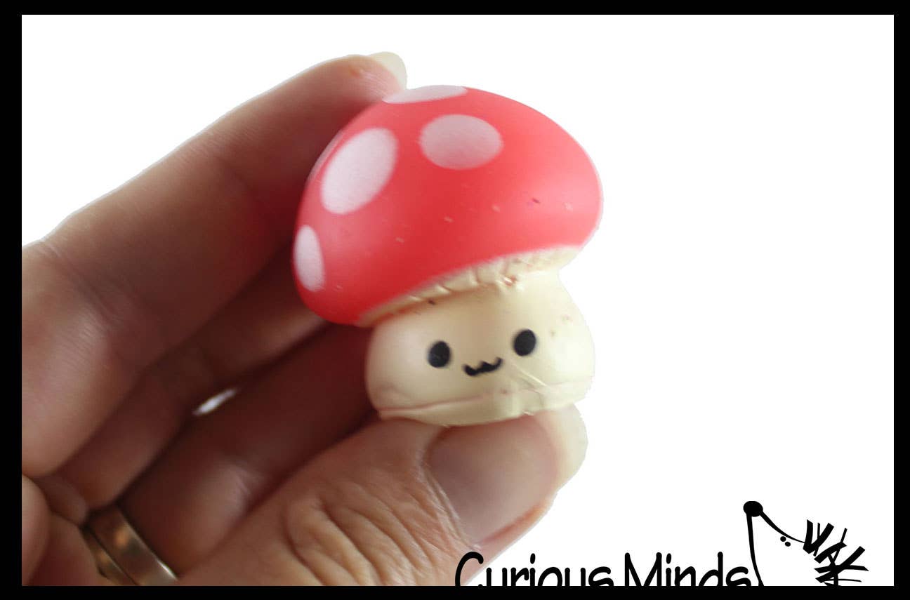 Curious Minds Toys - Wholesale Fidget Toy - Kids - 1 Cute Mushroom Mochi Squishy - Kawaii -  Cute Individually 3