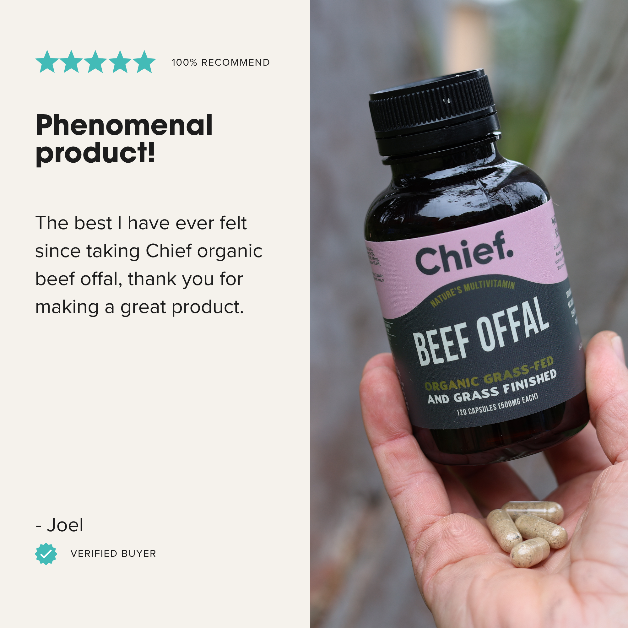 Chief Nutrition - Wholesale Oral supplement/vitamin - Organic Beef Offal (Multivitamin)1