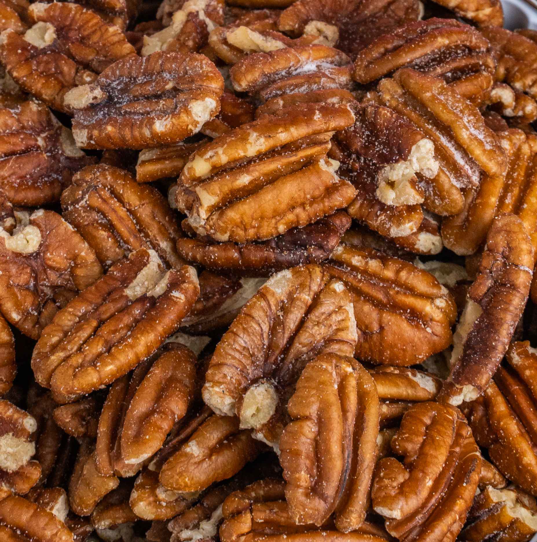 Young’s Premium Foods - Wholesale Nuts - Roasted & Salted Pecan Box 2oz Box3