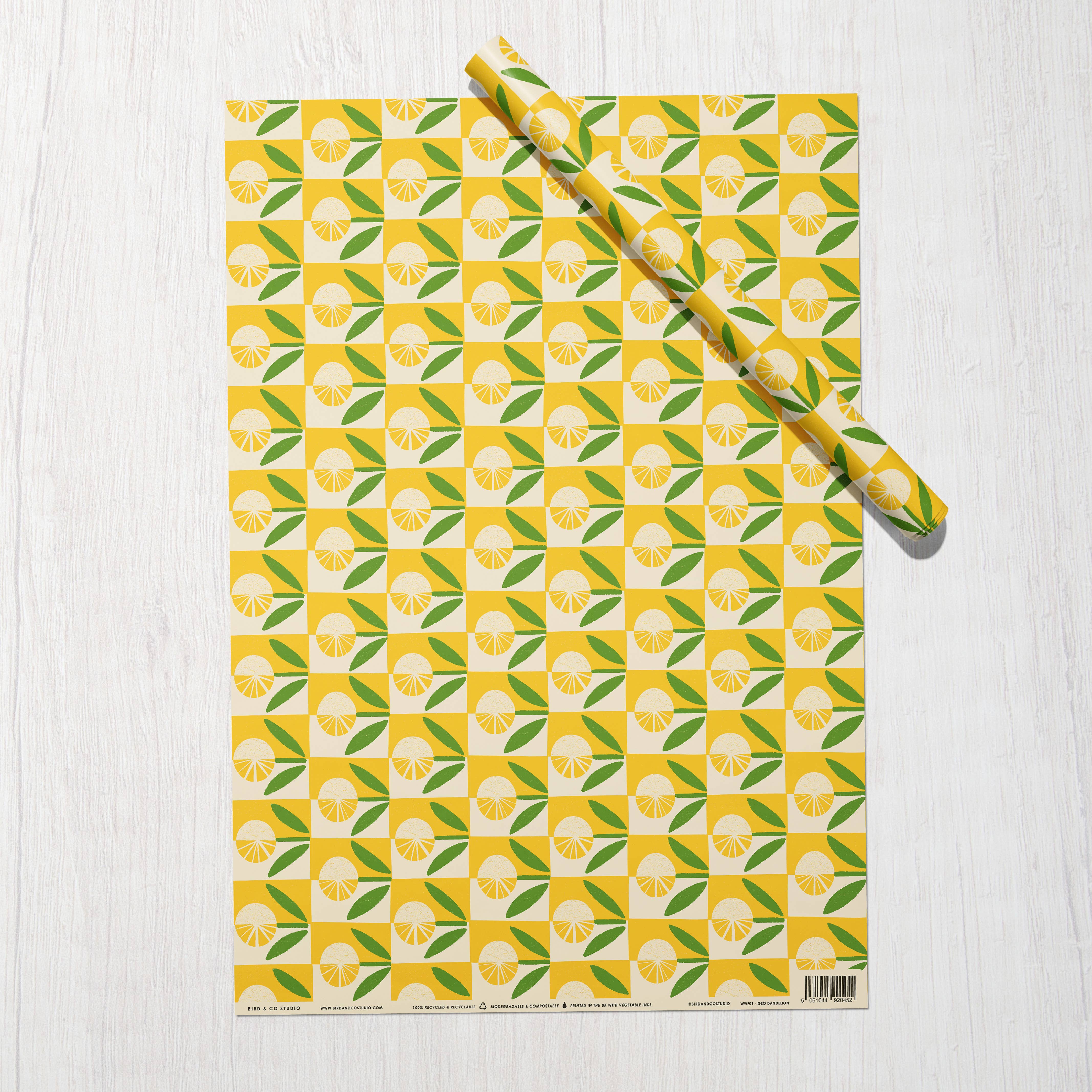 Bird & Co Studio - Wholesale Flat Wrap - Dandelion Wildflower | Modern-Retro Recycled Gift Wrap Paper1