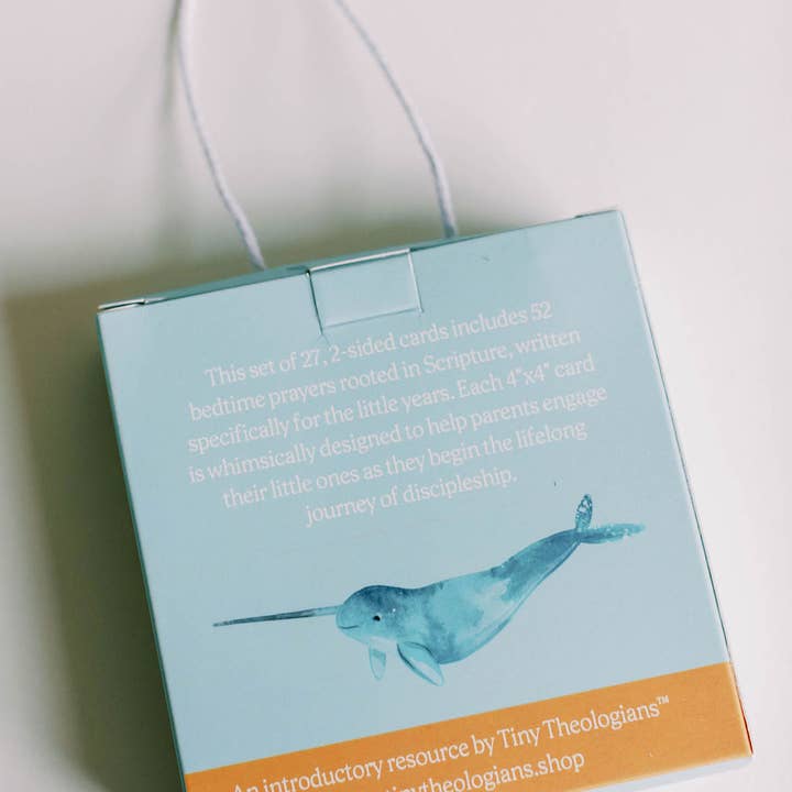 Tiny Theologians - Wholesale Learning Cards - Kids & Baby - My First Bedtime Prayers3