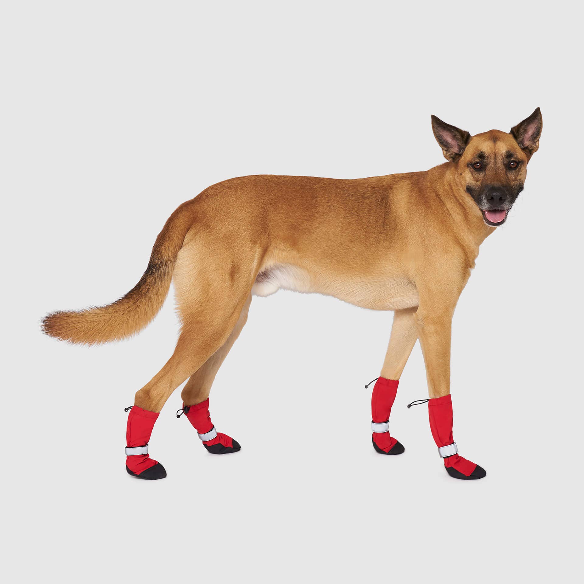 Canada Pooch - Wholesale Pet Boots - Dog - Soft Shield Boots- Dog Boots7