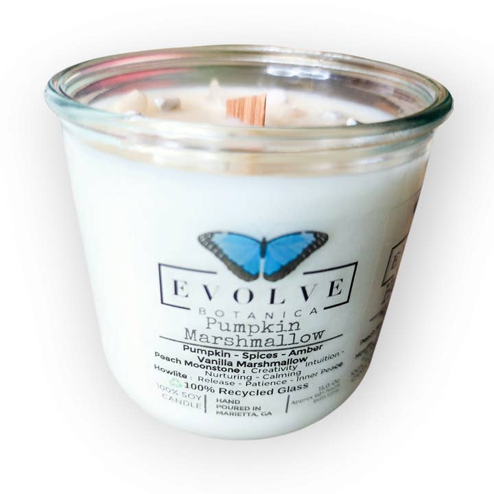 Vela de Soja de Calabaza y Malvavisco – Calabaza, Especias, Ámbar, Vainilla para venta al por mayor de Evolve Botanica