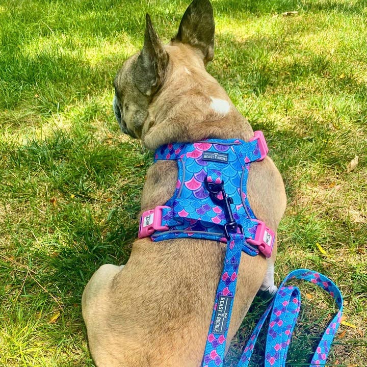 Beast & Buckle - Wholesale Pet Harness - Dog - Mermaid No Pull Dog Harness5