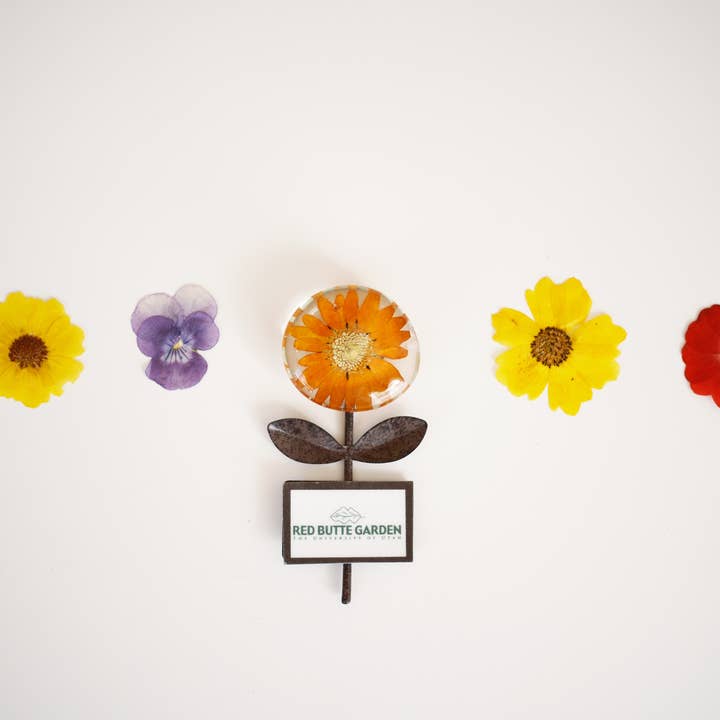 Sunnie Lane - Wholesale Magnet - Real Flower Magnet w/Stem - Custom Magnets