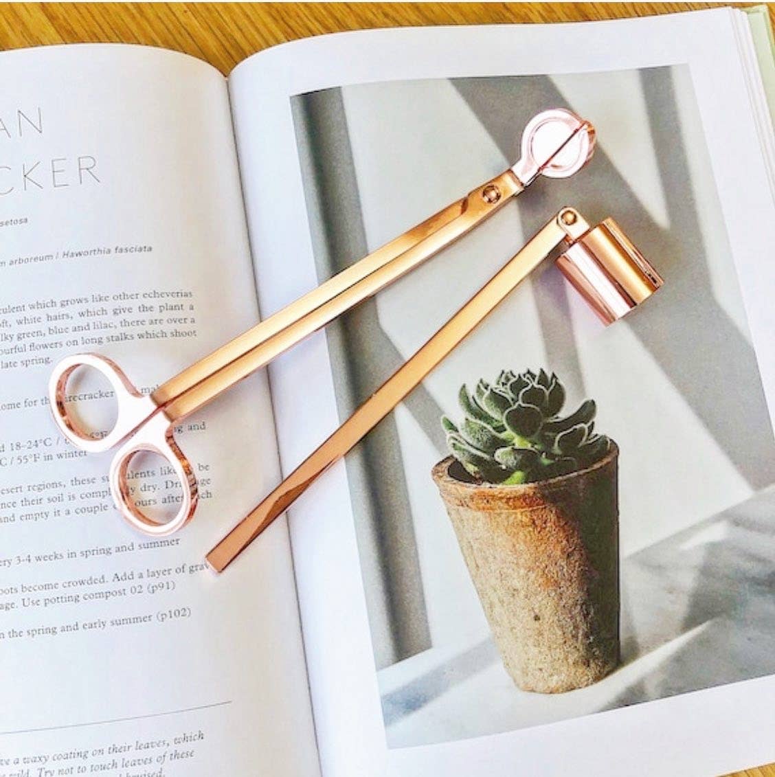 Studio Anarium – Großhandel Dochtschneider – Candle Care Kit – Dochtschneider und Kerzenlöscher2