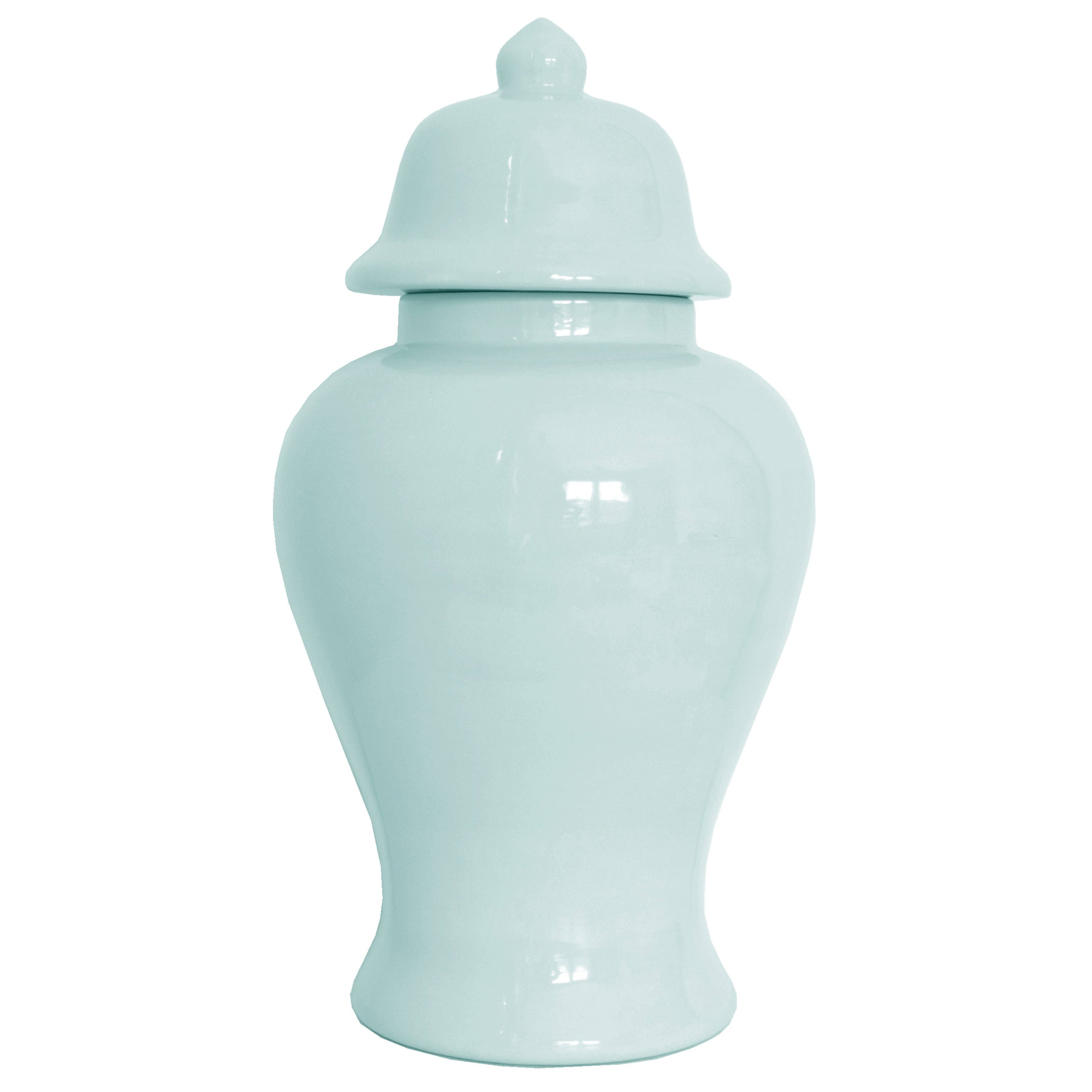 Lo Home | Ruby Clay - Wholesale Decorative Jar - Robin's Egg Blue Ginger Jars9