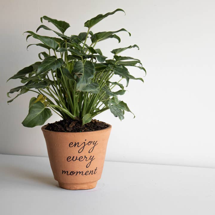 Foreside Home & Garden - Wholesale Plant Pot - SALE - Enjoy Every Moment Gift Terracotta Planter Pot